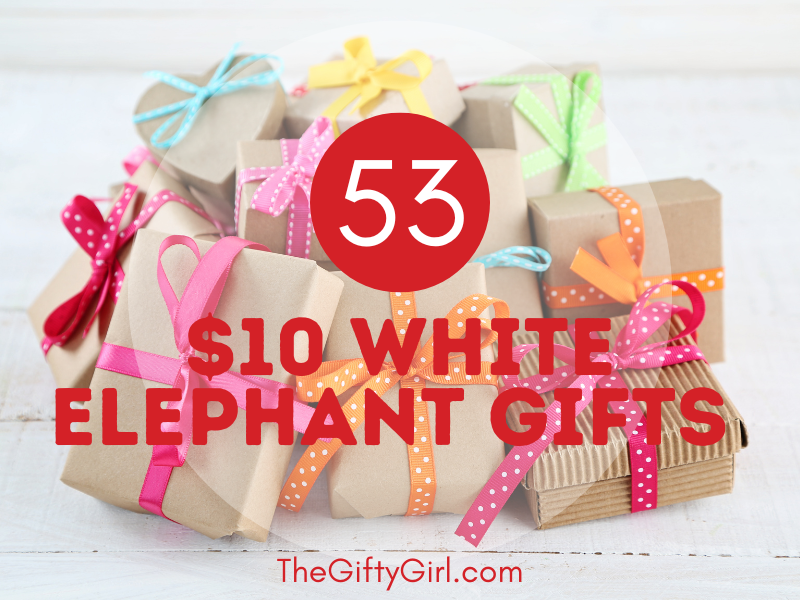 53 Hilarious and Affordable $10 White Elephant Gifts to Steal the Show! ~  The Gifty Girl
